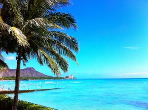 ハワイのサーフィン動画8選＊まったりロング〜超ビッグウェーブまで！