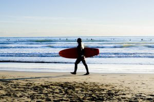 プロサーファーになるには?資格やなり方を解説!気になる収入も!
