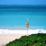 サーフィンでのクラゲ対策&予防法を解説!刺されたときの対処法も