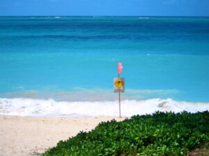 サーフィンでのクラゲ対策&予防法を解説！刺されたときの対処法も