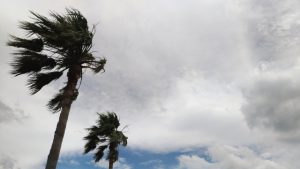 意外と知らない【台風・ハリケーン・サイクロン】の違い!存在地域だけではない…