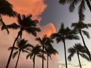 ケリースレーターのプロフィール|実績や現在の活動&ウェイブプールについても