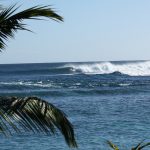 デーンレイノルズのサーフィンの実績〜引退後の動向!【厳選動画】も