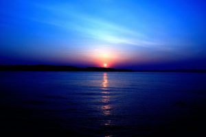 【映画】ソウルサーファーのあらすじ＆名言集！片腕を失ったベサニー・ハミルトンの実話！