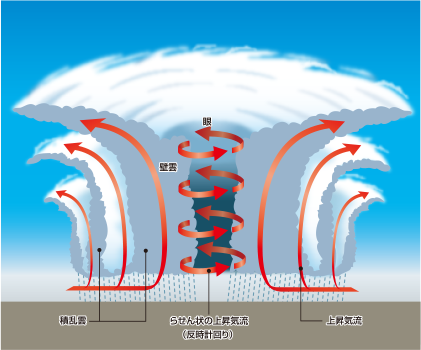 台風の構造
