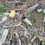海洋プラスチックゴミ問題について考える。私たちにできることは?