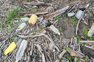 海洋プラスチックゴミ問題について考える。私たちにできることは？