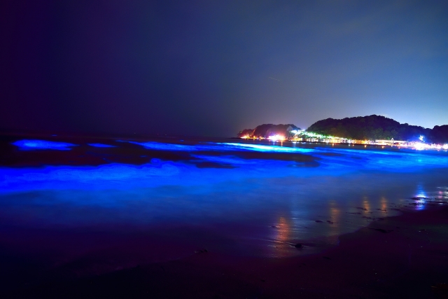 海が青く光る『夜光虫』が見れる条件と時期