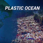 2050年には海洋プラスチックごみと魚の量は同じになる?【動画】プラスチックの海