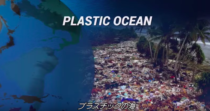 2050年には海洋プラスチックごみと魚の量は同じになる？【動画】プラスチックの海