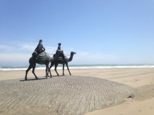 御宿でサーフィン!ポイントの特徴や駐車場は?初心者向き?