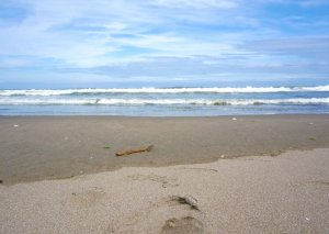 【ケリースレーター】東京オリンピックに対する3つの懸念