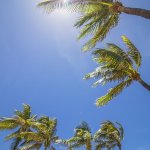 RVCA(ルーカ)ってどんなサーフブランド?人気の理由やおすすめアイテム