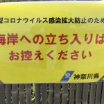 神奈川県全域にサーフィン自粛の要請
