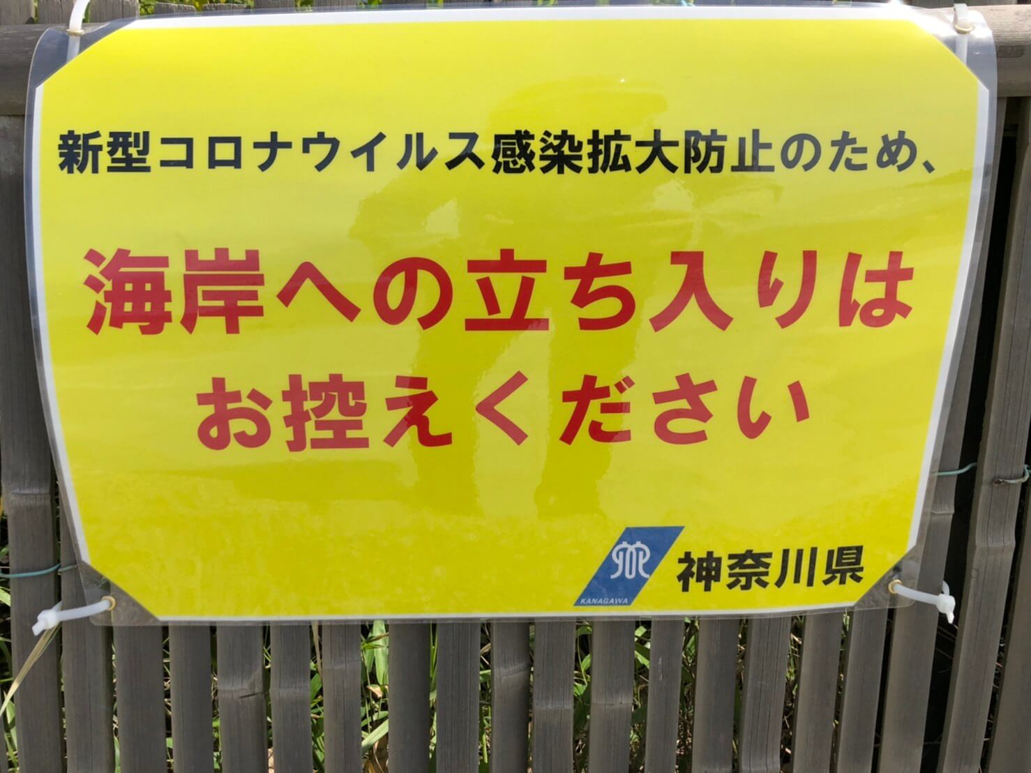 神奈川県全域にサーフィン自粛の要請