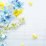 海好きへのプレゼントといえば?男女別おすすめ10選