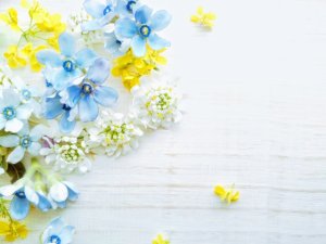 海好きへのプレゼントといえば？男女別おすすめ10選