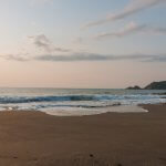 高知・生見でサーフィン!ポイントの特徴や駐車場・シャワーは?