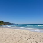 サーフィンができる綺麗な海といえば？