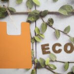 おしゃれなサーフブランドのエコバッグおすすめ5選!パタゴニア・ルーカなど