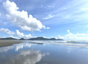 僕がサーフィンのために日向に移住した理由