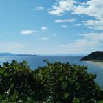 田原市のサーフタウン構想とは?魅力やおすすめポイントも