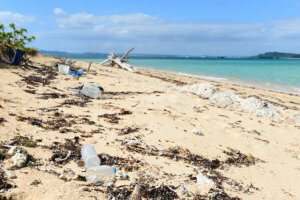 ビーチクリーン活動とは？参加方法や海岸に多いゴミの種類も