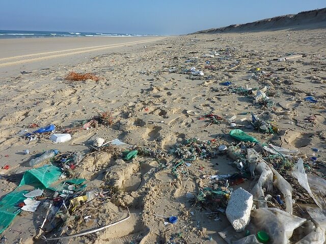 海洋ゴミの種類と割合は？原因や対策も
