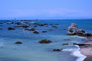 白潮の原因と影響｜赤潮・青潮についても