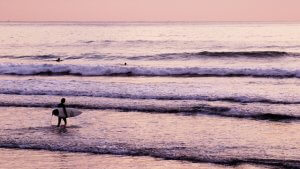 サーフィン関連のふるさと納税の返礼品5選！サーフボードなど