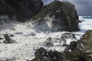 海が泡立つ『波の花』とは？発生する原因や原理を解説