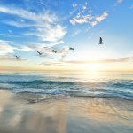 海水がしょっぱいのはなぜ?温暖化で塩分濃度が変化している?