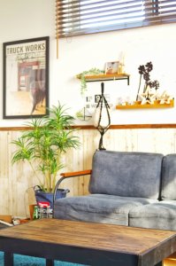 西海岸風のラグおすすめ3選！インテリアを作るコツも