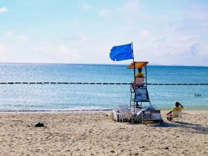 ライフセーバーとは?役割・仕事内容は?資格についても