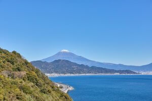 駿河湾の特徴とは？深い理由や生息している魚について