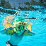 【最新】水中カメラおすすめ5選!定番の人気機種を紹介