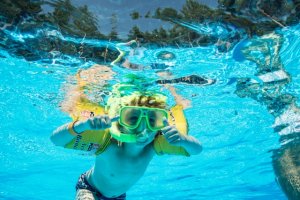 【最新】水中カメラおすすめ5選!定番の人気機種を紹介