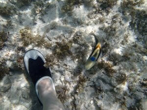 【最新】マリンシューズおすすめ7選！人気ブランドやキッズ用も