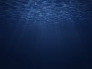 深海とは？何メートルから？特徴や生き物についても