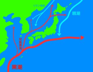 黒潮(日本海流)とは?特徴や大蛇行についても