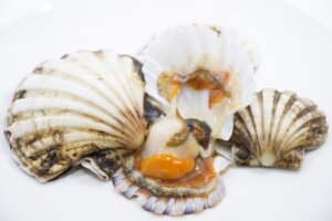 イタヤ貝とは？名前の由来やホタテとの違いなど