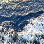 海水の成分って?飲むと身体に悪い?人工海水についても