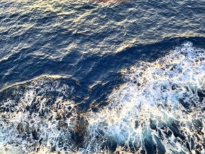 海水の成分って？飲むと身体に悪い？人工海水についても