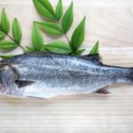 出世魚とは?主な種類の順番・特徴など