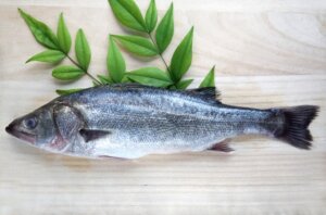 出世魚とは?主な種類の順番・特徴など