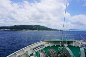 船酔い・波酔いの原因と予防法!症状やしやすい人の特徴も