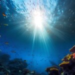「海のギャング」と言われている生き物って?意外な生物も…