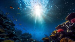 「海のギャング」と言われている生き物って？意外な生物も…