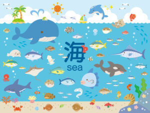 海の生き物人気ランキングTOP10!理由や特徴を解説