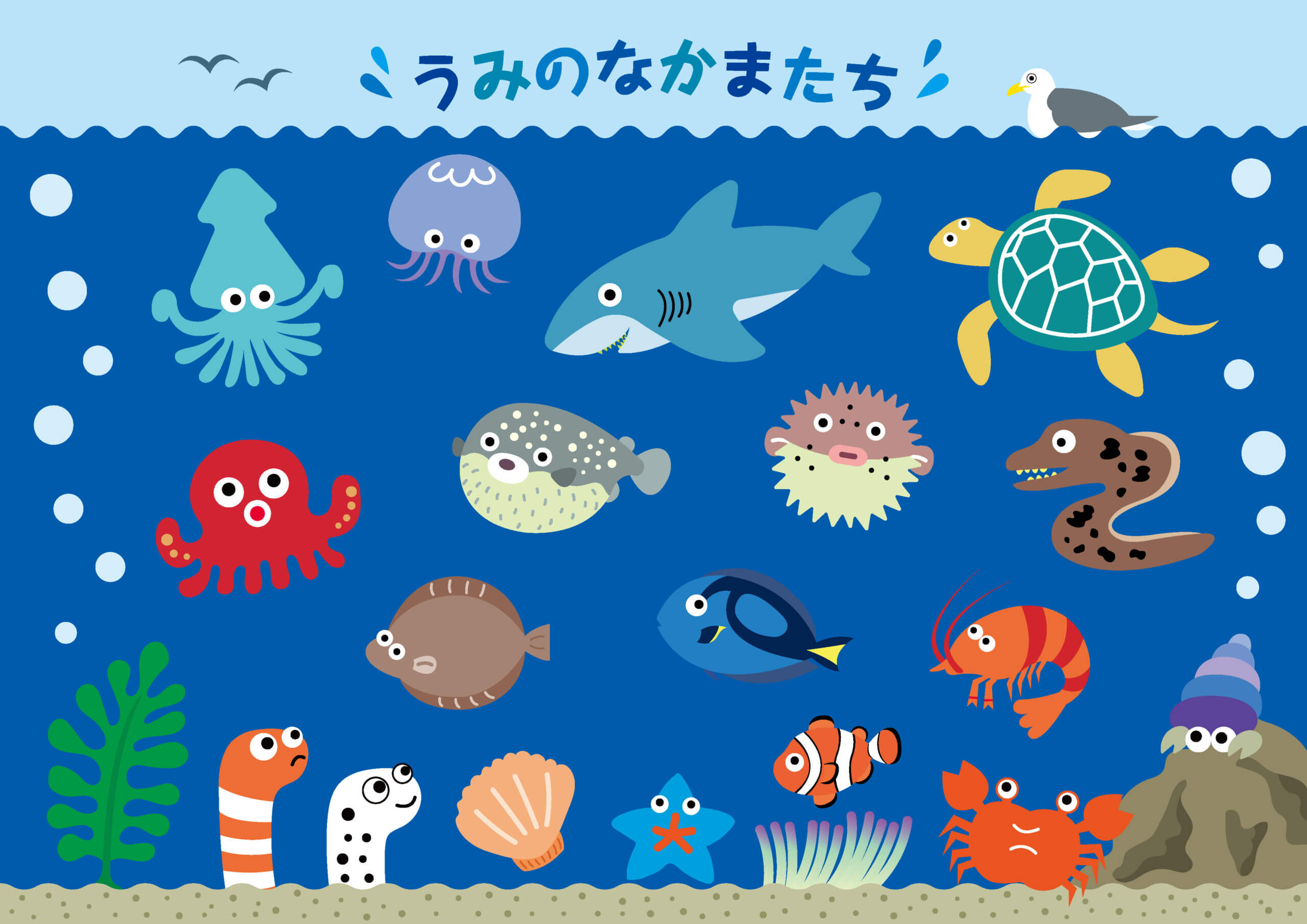 かわいい海の生き物7選！人気があるのは…